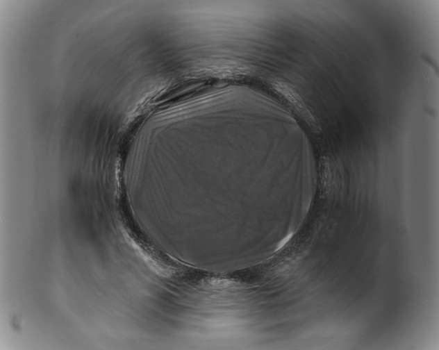 X0000100400590200806271423