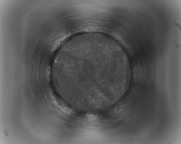 X0000100400592200806271422
