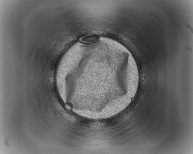 X0000100400593200806271422
