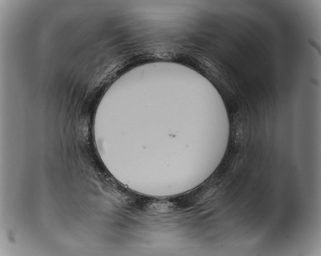 X0000100400595200806271422
