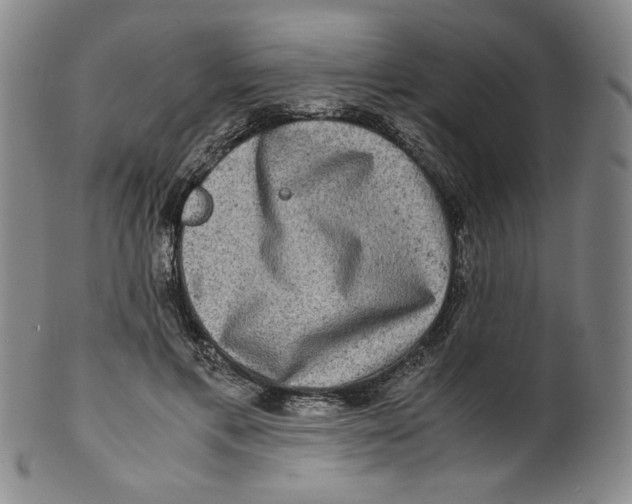 X0000100400597200806271422