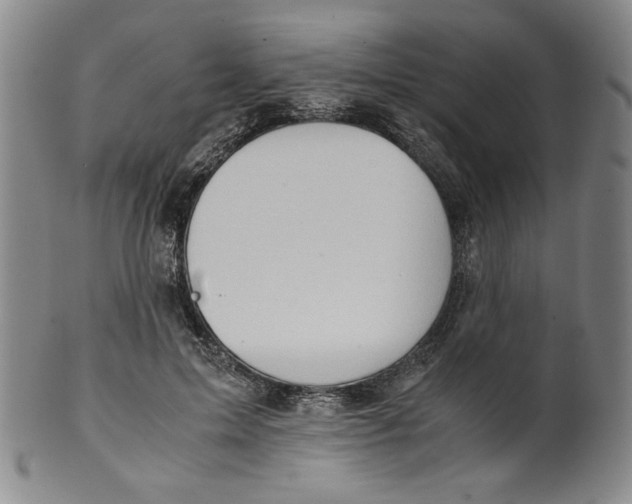 X0000100400599200806271422