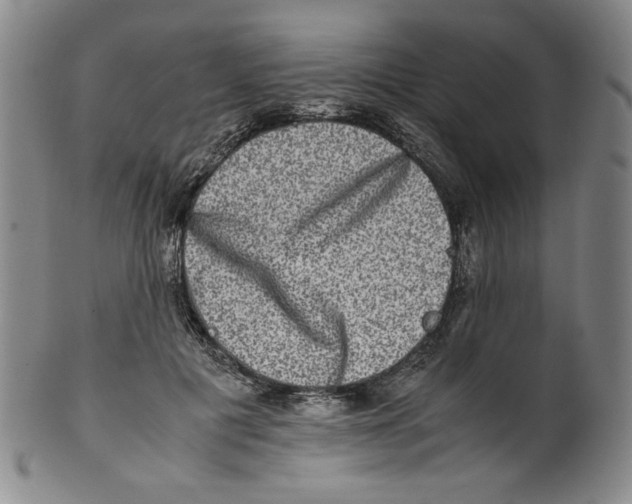 X0000100400601200806271422