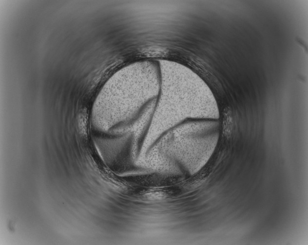 X0000100400604200806271422