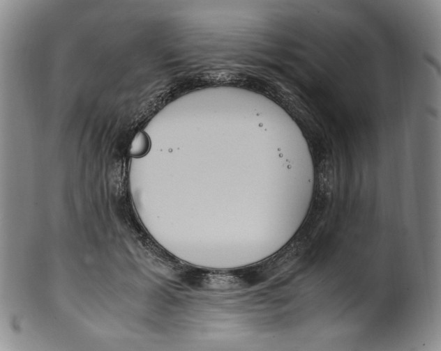 X0000100400605200806271422