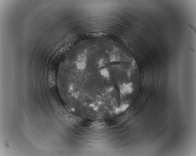 X0000100400606200806271422