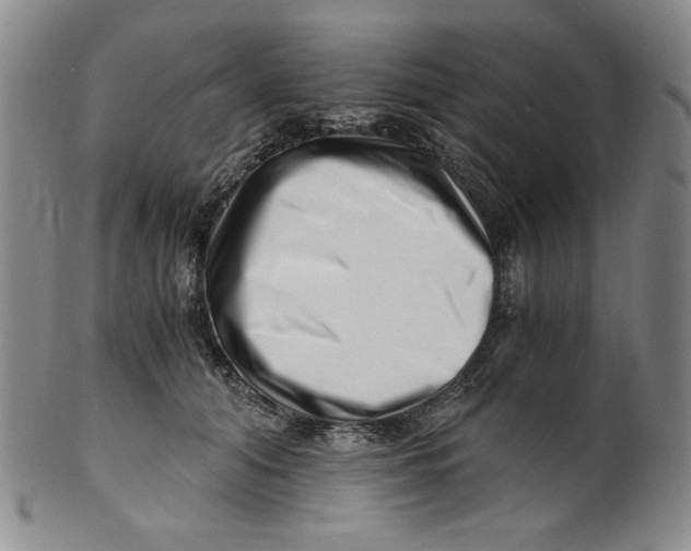 X0000100400608200806271422