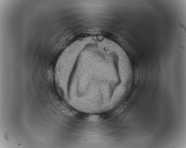 X0000100400609200806271422