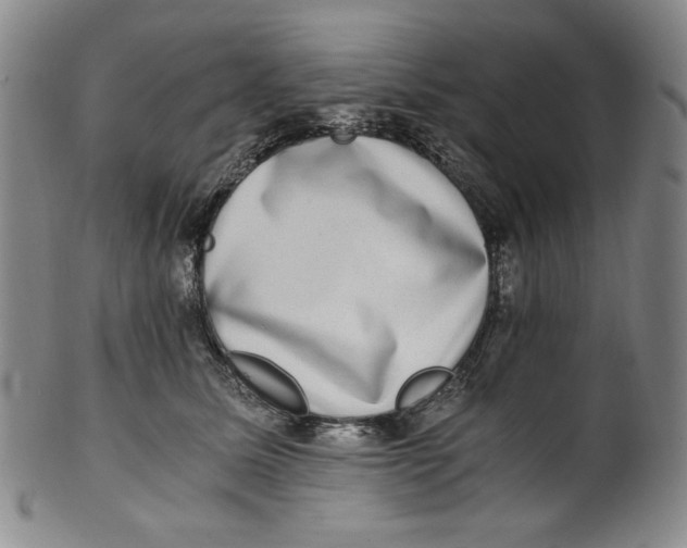 X0000100400611200806271422
