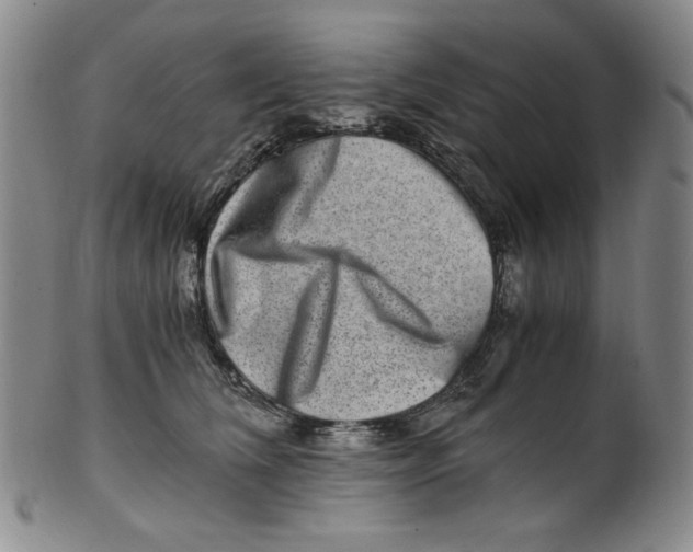 X0000100400612200806271422