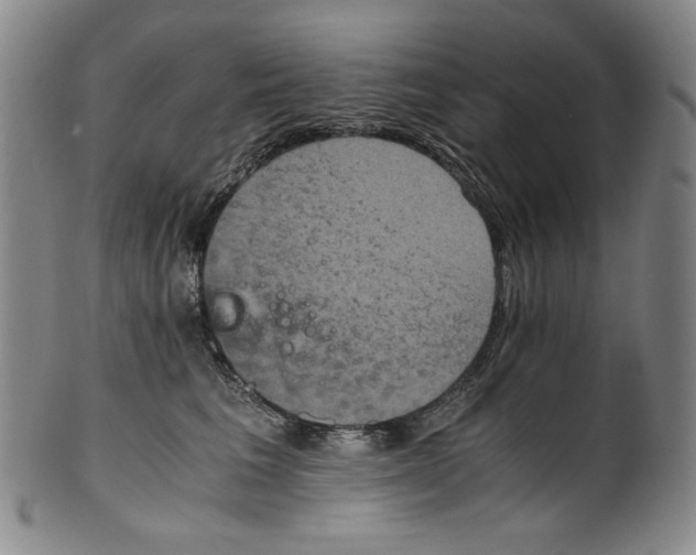 X0000100400613200806271422
