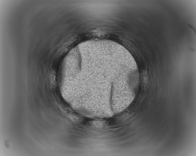 X0000100400615200806271422