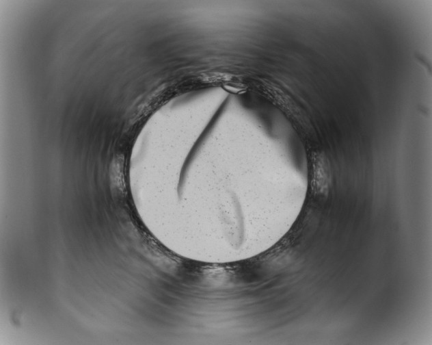 X0000100400616200806271422
