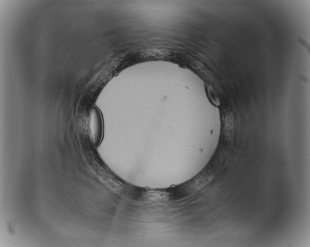 X0000100400617200806271422