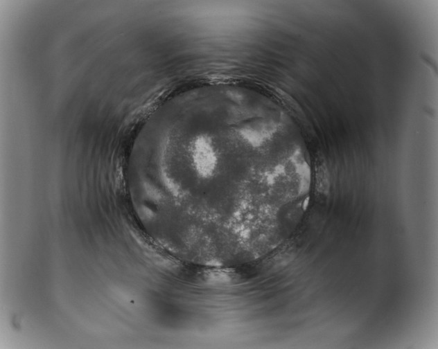 X0000100400618200806271422