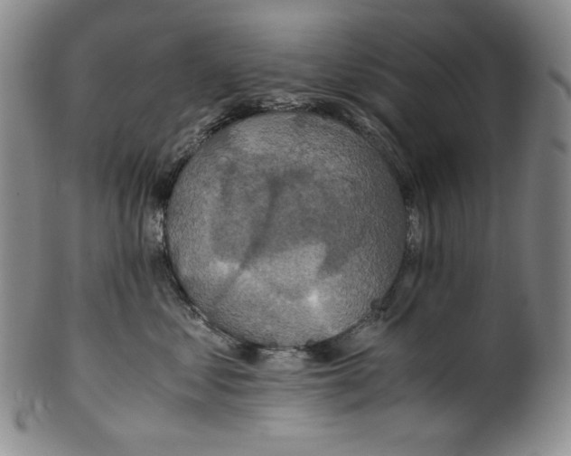 X0000100400621200806271422