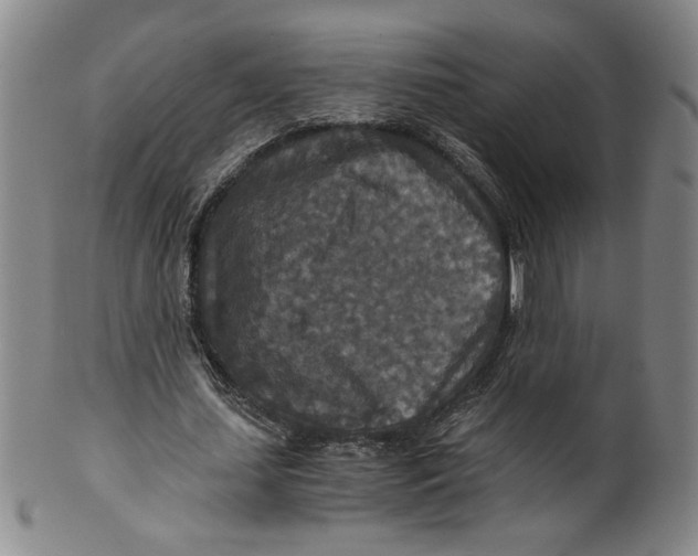 X0000100400627200806271421