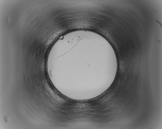 X0000100400629200806271421