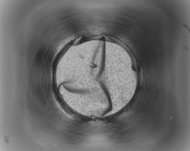 X0000100400630200806271421
