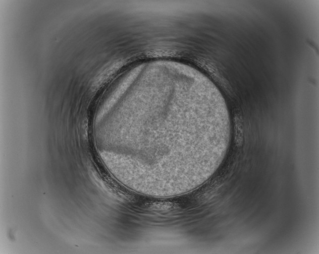 X0000100400631200806271421