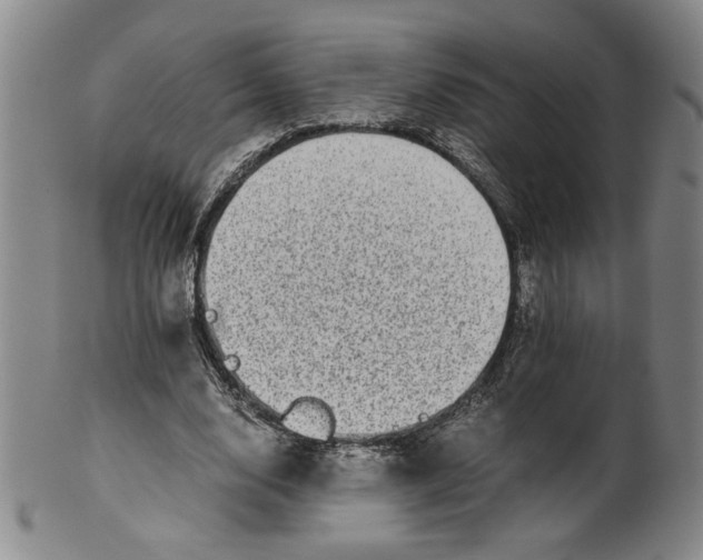 X0000100400632200806271421
