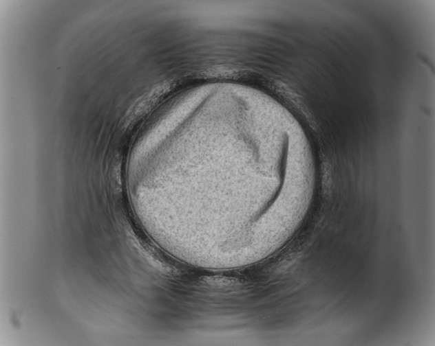 X0000100400633200806271421