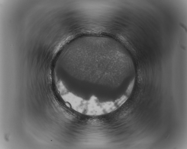 X0000100400634200806271421