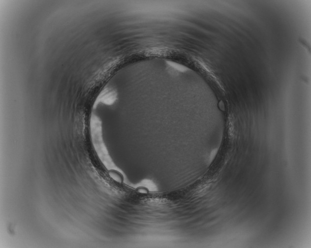X0000100400637200806271422