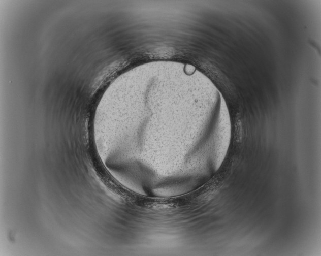 X0000100400638200806271422