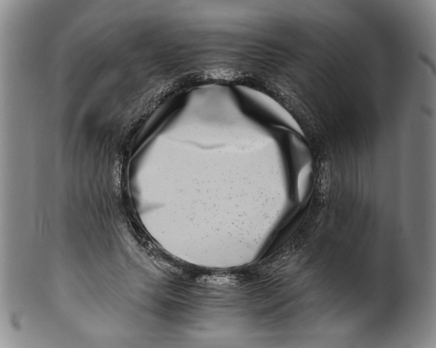 X0000100400639200806271422