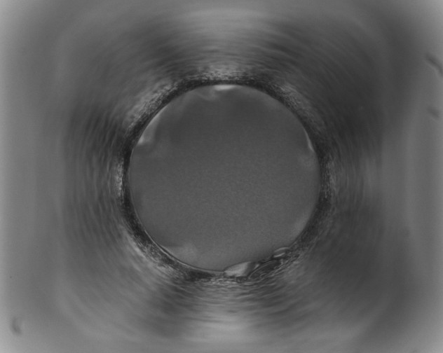 X0000100400640200806271422
