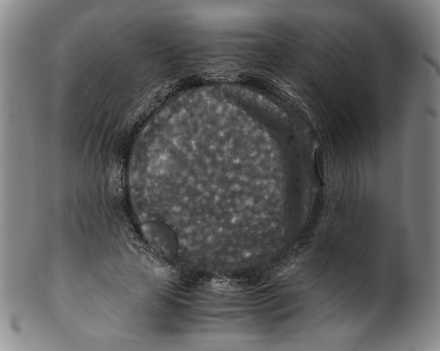 X0000100400641200806271422