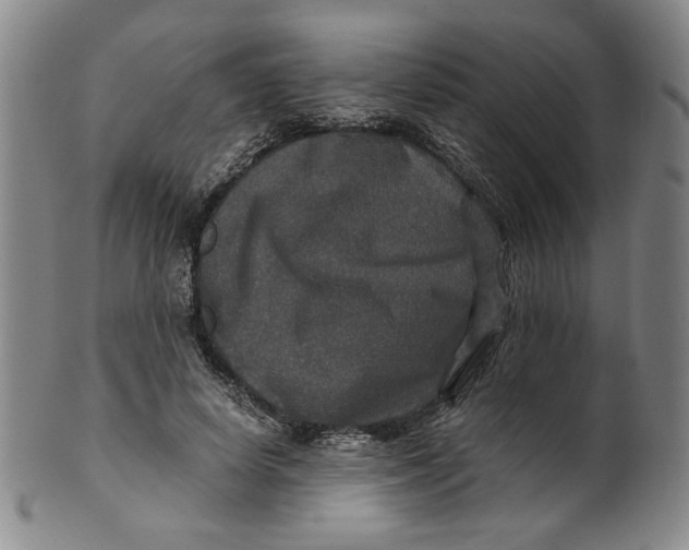 X0000100400642200806271422