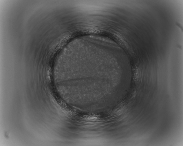 X0000100400643200806271422