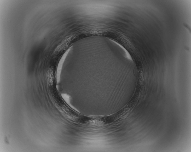 X0000100400644200806271422