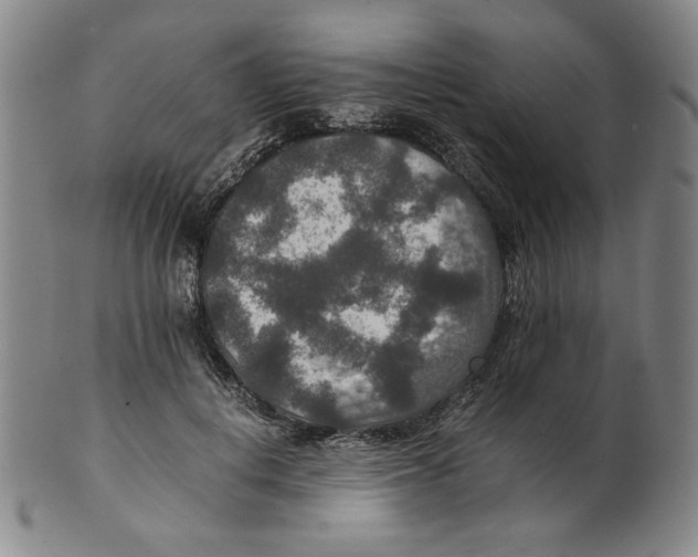 X0000100400648200806271422