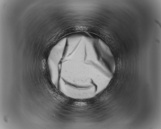 X0000100400649200806271422