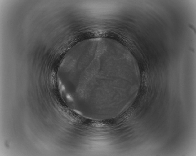 X0000100400650200806271422