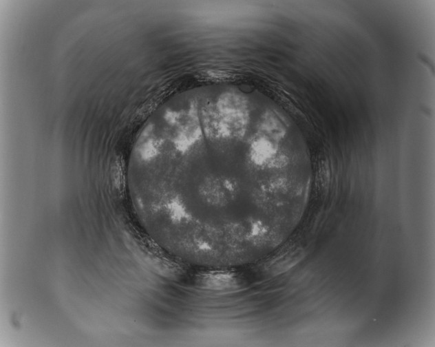X0000100400651200806271422