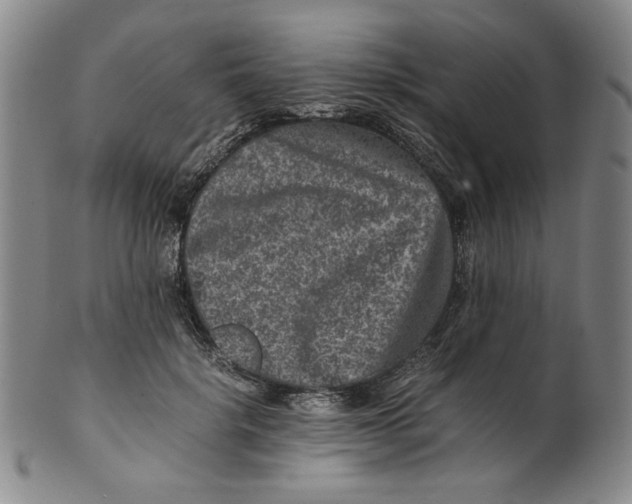 X0000100400652200806271422