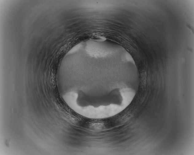 X0000100400653200806271422