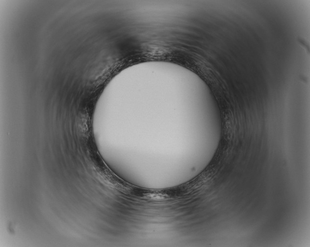 X0000100400654200806271422