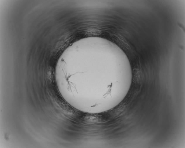 X0000100400655200806271422