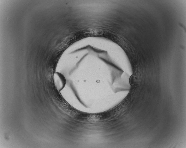 X0000100400656200806271422