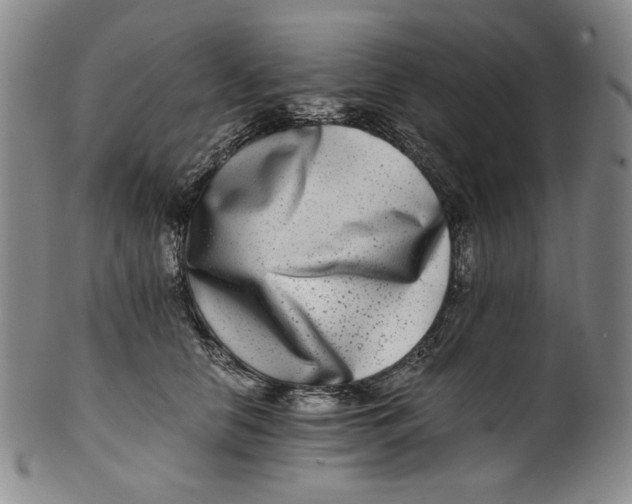 X0000100400658200806271422