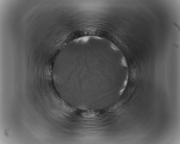 X0000100400661200806271422