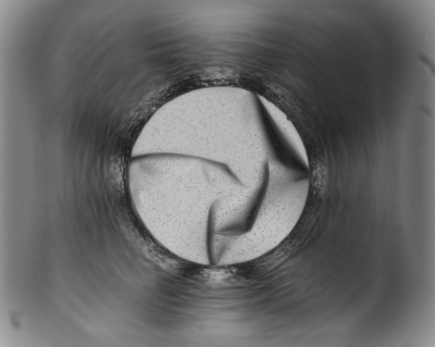 X0000100400662200806271422