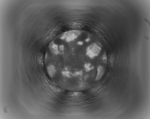 X0000100400663200806271422