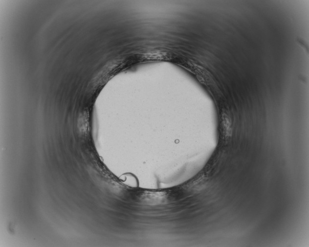 X0000100400665200806271422