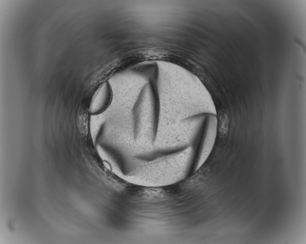 X0000100400666200806271422